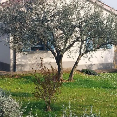 Kortine Apartment