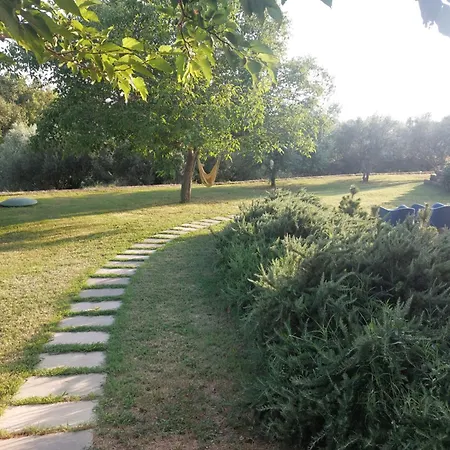 Apartment Kortine Secovlje